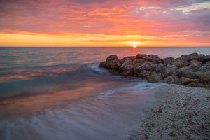 Florida Landscapes