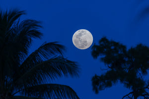 Florida Full Moon