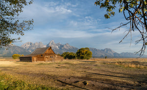 Teton's Famous Barn