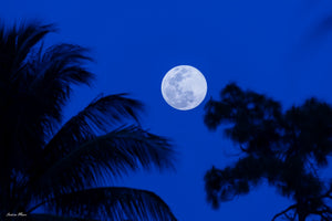 Florida Full Moon