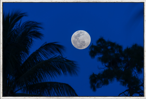 Florida Full Moon