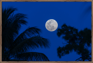 Florida Full Moon