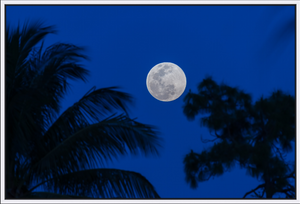 Florida Full Moon