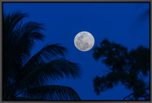 Florida Full Moon