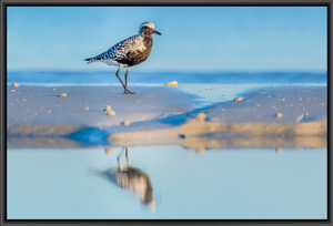 Tidal Scavenger