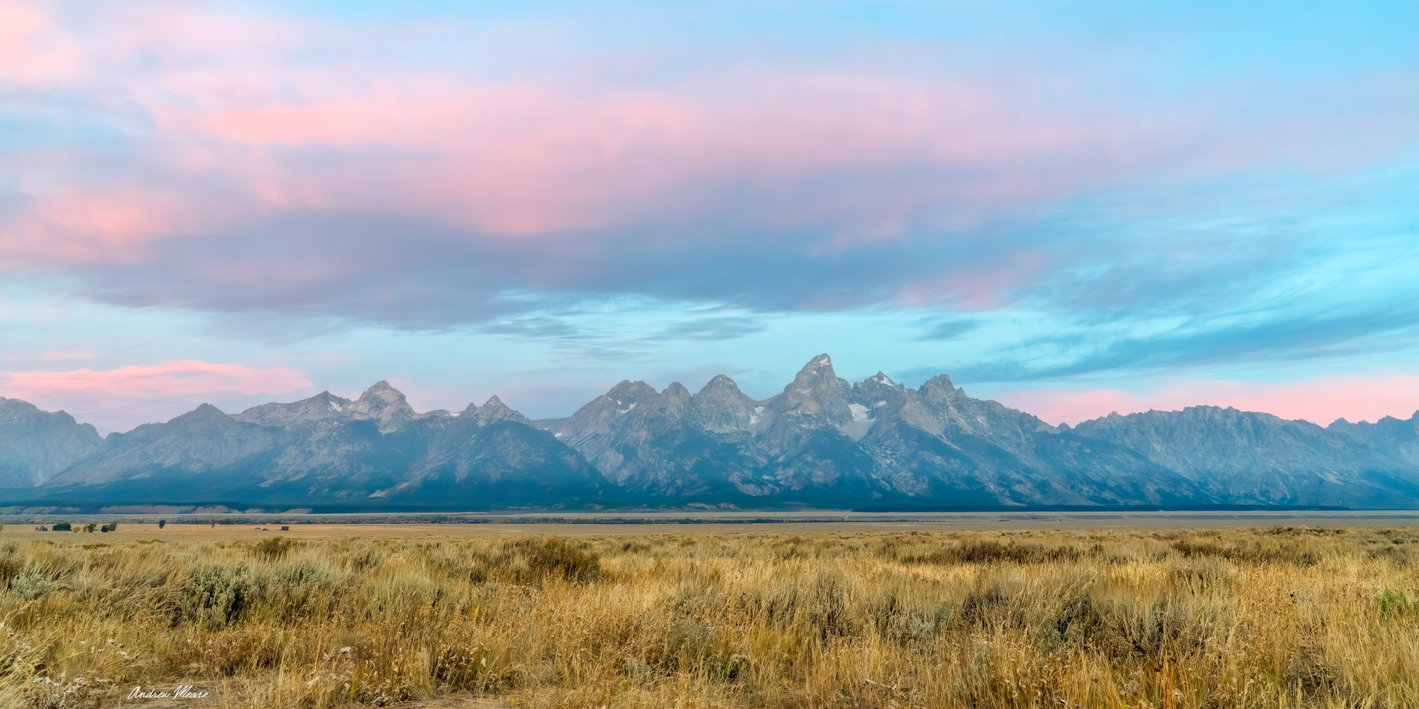 Teton Cotton Candy